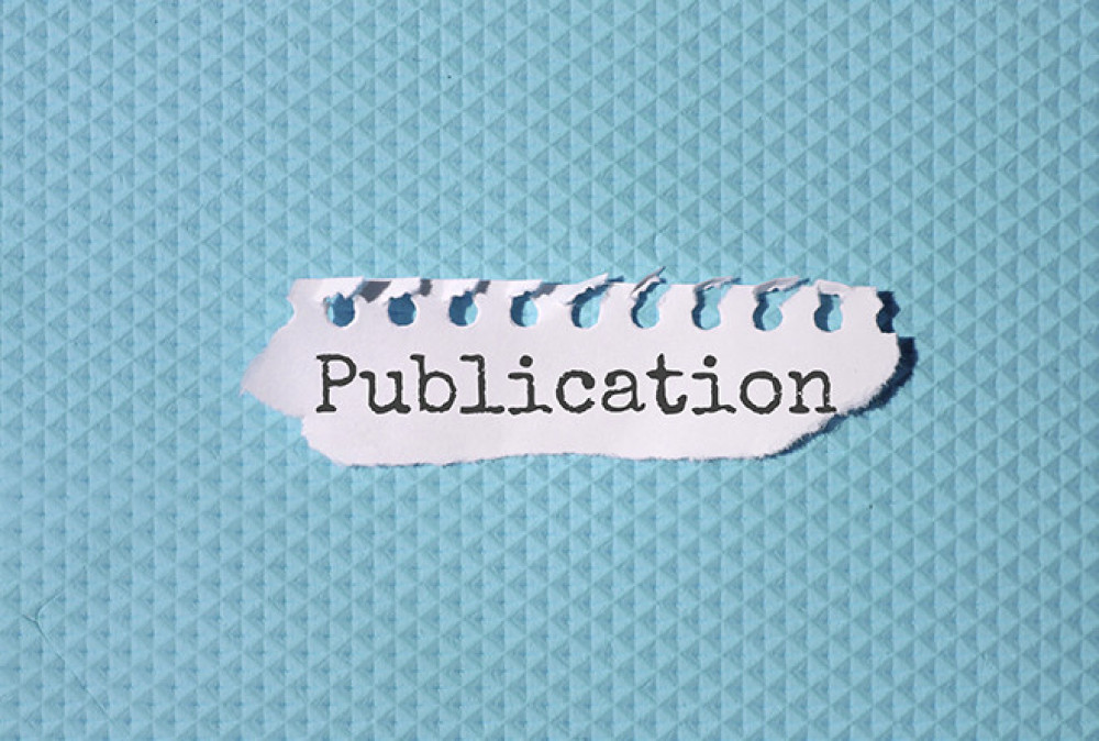 What will the Publications Act and the Media Services Act bring?