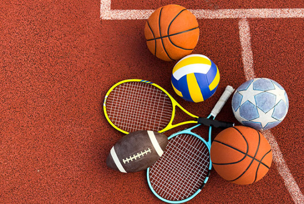 Novela zákona o športe